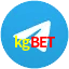 kgbet Telegram